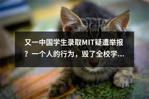 又一中国学生录取MIT疑遭举报?一个人的行为,毁了全校学生的前途…