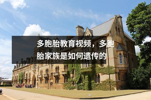 多胞胎教育视频,多胞胎家族是如何遗传的