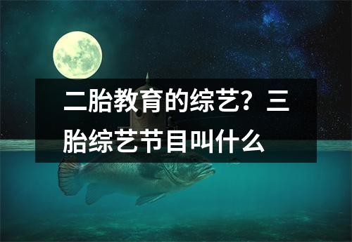 二胎教育的综艺？三胎综艺节目叫什么