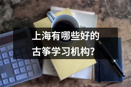 上海有哪些好的古筝学习机构？
