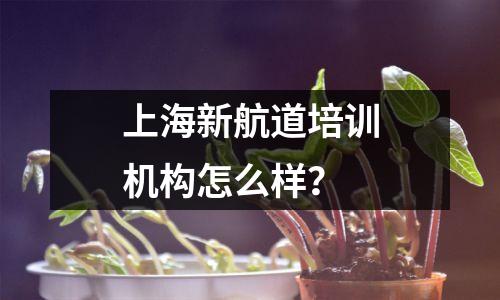 上海新航道培训机构怎么样?