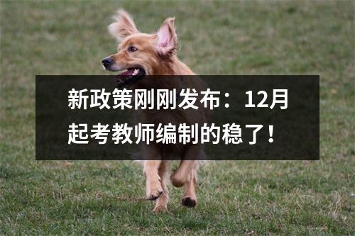 新政策刚刚发布：12月起考教师编制的稳了！