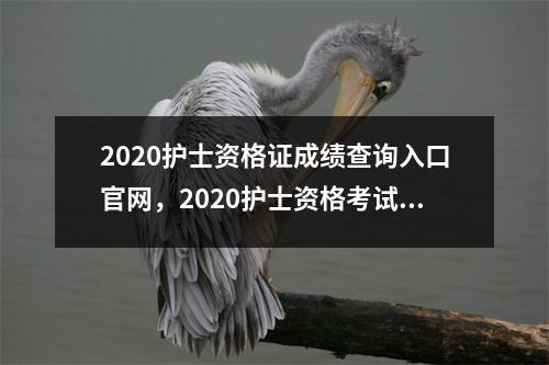2020护士资格证成绩查询入口官网,2020护士资格考试成绩查询入口
