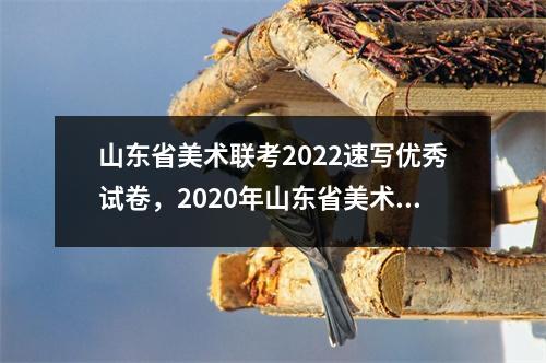 山东省美术联考2022速写优秀试卷,2020年山东省美术联考速写高分卷
