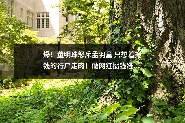 爆!董明珠怒斥孟羽童 只想着挣钱的行尸走肉!做网红攒钱准备留学,她哪儿做错了?