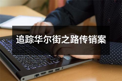 追踪华尔街之路传销案