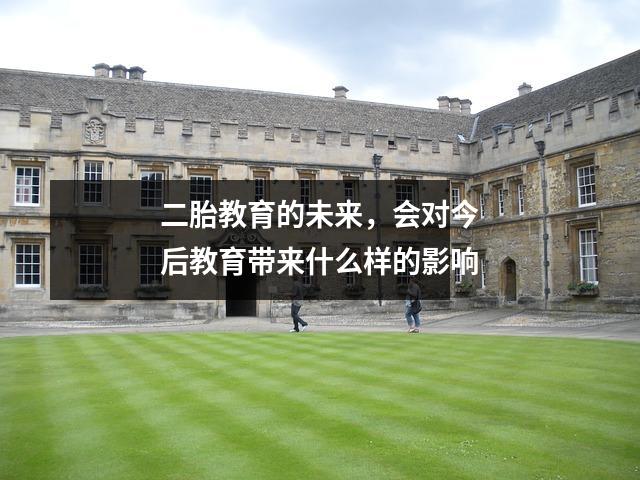 二胎教育的未来，会对今后教育带来什么样的影响