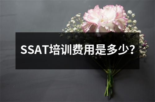 SSAT培训费用是多少？
