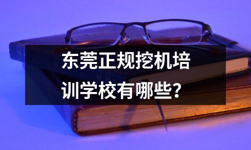 东莞正规挖机培训学校有哪些？
