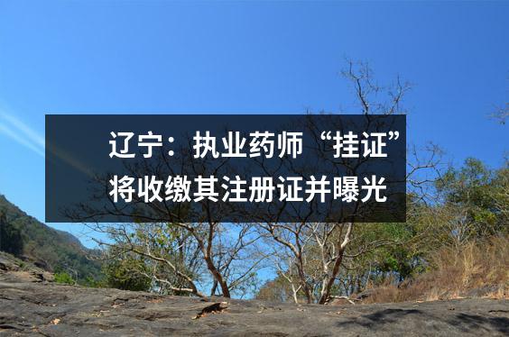 辽宁:执业药师“挂证”将收缴其注册证并曝光