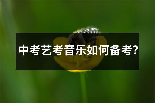 中考艺考音乐如何备考？