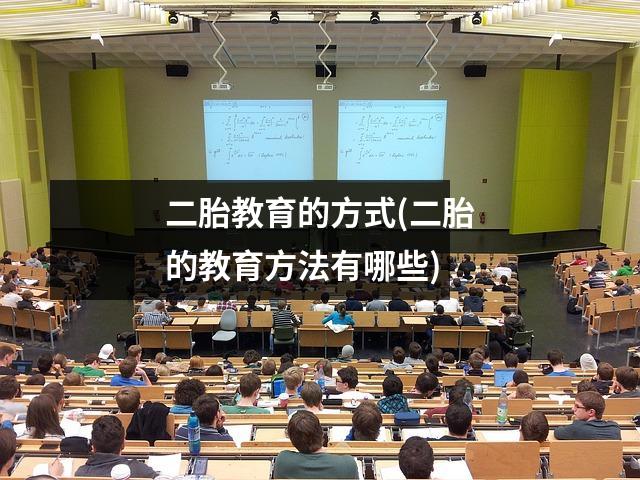 二胎教育的方式(二胎的教育方法有哪些)