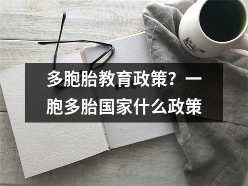 多胞胎教育政策?一胞多胎国家什么政策
