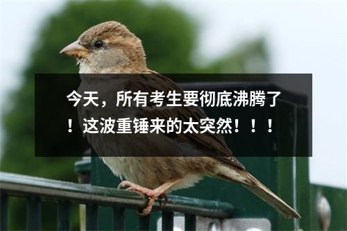 今天,所有考生要彻底沸腾了!这波重锤来的太突然!!!