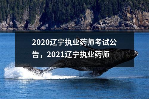 2020辽宁执业药师考试公告,2021辽宁执业药师