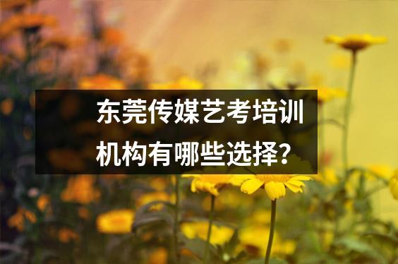 东莞传媒艺考培训机构有哪些选择?