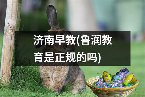 济南早教(鲁润教育是正规的吗)
