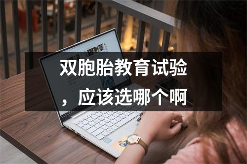 双胞胎教育试验,应该选哪个啊