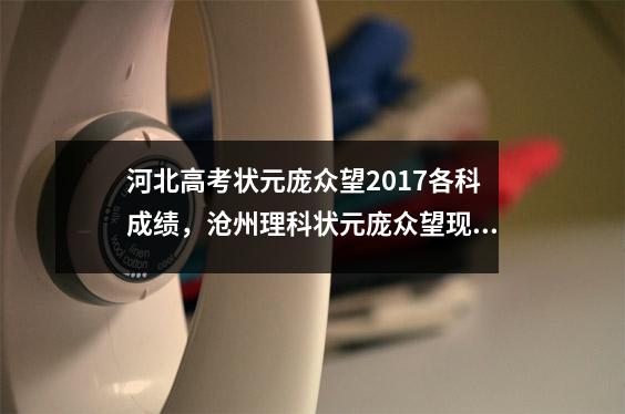 河北高考状元庞众望2017各科成绩,沧州理科状元庞众望现状