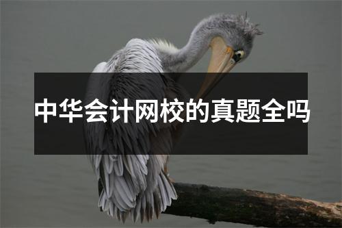 中华会计网校的真题全吗