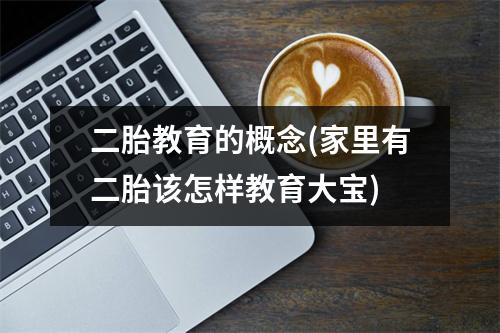 二胎教育的概念(家里有二胎该怎样教育大宝)