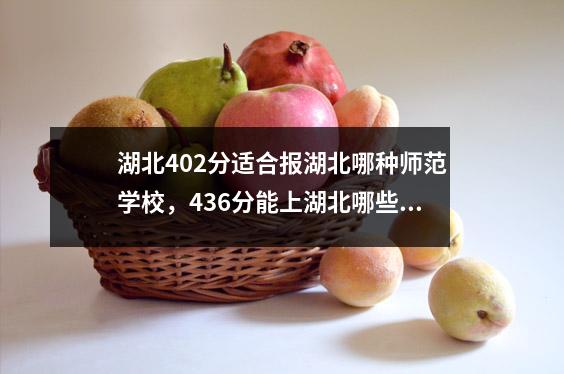 湖北402分适合报湖北哪种师范学校,436分能上湖北哪些师范学校
