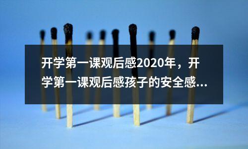 开学第一课观后感2020年，开学第一课观后感孩子的安全感和家庭教育宗春山