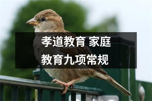 孝道教育 家庭教育九项常规