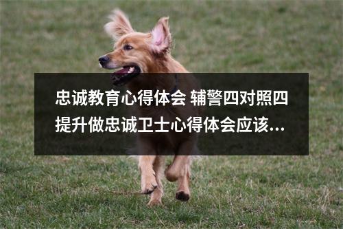 忠诚教育心得体会 辅警四对照四提升做忠诚卫士心得体会应该怎么写