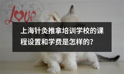 上海针灸推拿培训学校的课程设置和学费是怎样的?