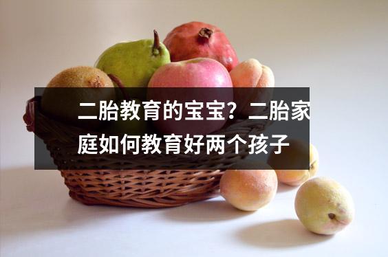二胎教育的宝宝?二胎家庭如何教育好两个孩子