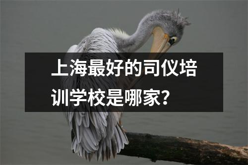 上海最好的司仪培训学校是哪家?