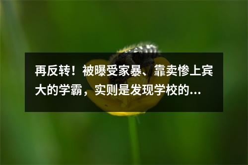 再反转!被曝受家暴、靠卖惨上宾大的学霸,实则是发现学校的秘密被报复?