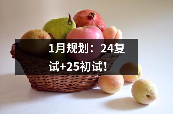 1月规划:24复试+25初试!