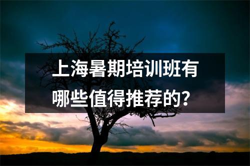 上海暑期培训班有哪些值得推荐的？