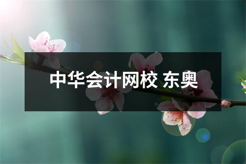 中华会计网校 东奥
