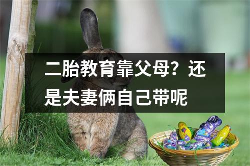 二胎教育靠父母?还是夫妻俩自己带呢