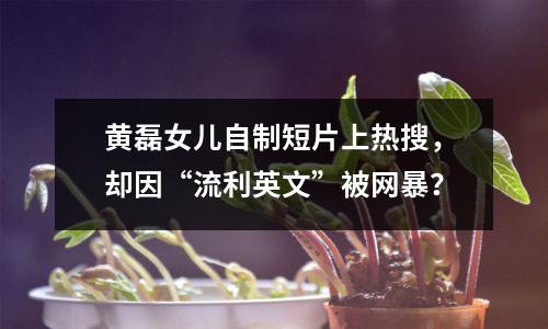 黄磊女儿自制短片上热搜,却因“流利英文”被网暴?