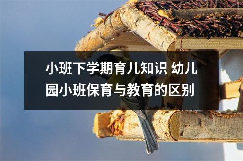 小班下学期育儿知识 幼儿园小班保育与教育的区别