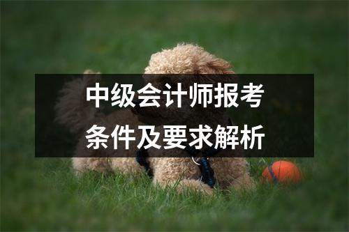 中级会计师报考条件及要求解析