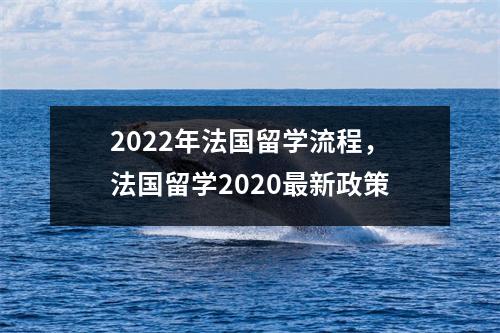 2022年法国留学流程,法国留学2020最新政策