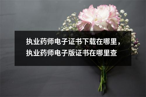 执业药师电子证书下载在哪里,执业药师电子版证书在哪里查
