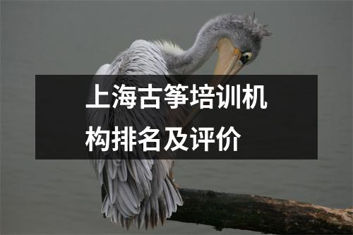上海古筝培训机构排名及评价