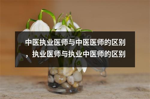 中医执业医师与中医医师的区别,执业医师与执业中医师的区别