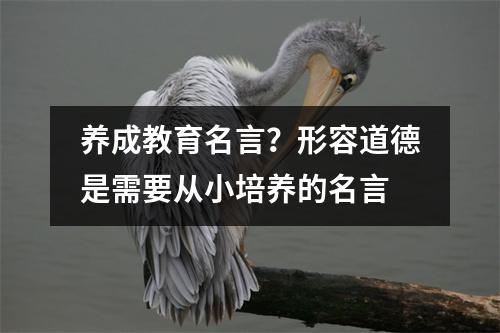 养成教育名言?形容道德是需要从小培养的名言