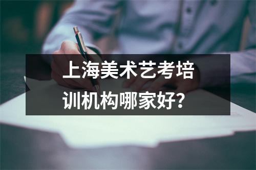 上海美术艺考培训机构哪家好?