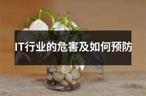 IT行业的危害及如何预防