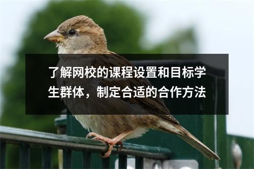 了解网校的课程设置和目标学生群体，制定合适的合作方法