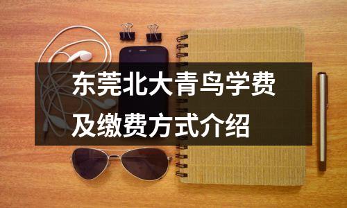 东莞北大青鸟学费及缴费方式介绍