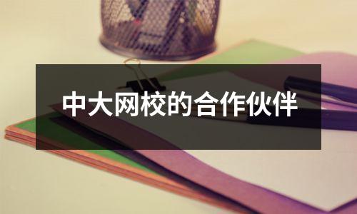 中大网校的合作伙伴